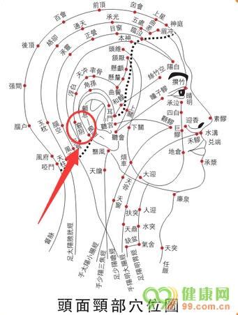 頭竅陰穴|頭竅陰:名稱釋義,功能作用,治法,定位,解剖,主治,操作,臨床運用,配。